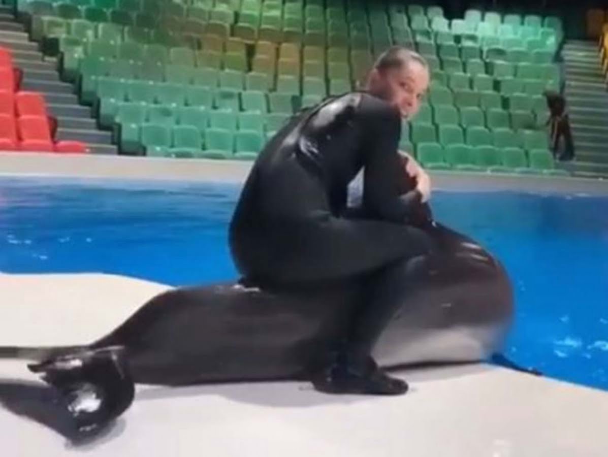 Video de entrenadora ‘maltratando’ a delfín causa indignación