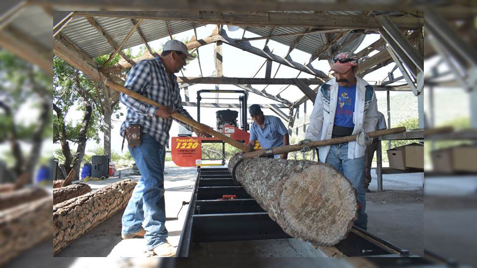 Inauguran aserradero, procesará más de mil 300 metros cúbicos de madera al año.