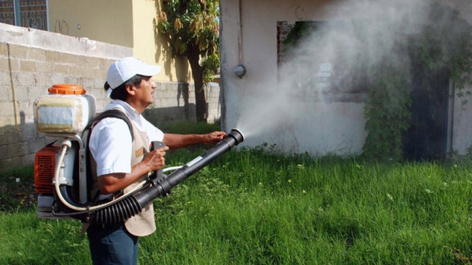 56 casos de dengue se reportan en Tampico y Madero