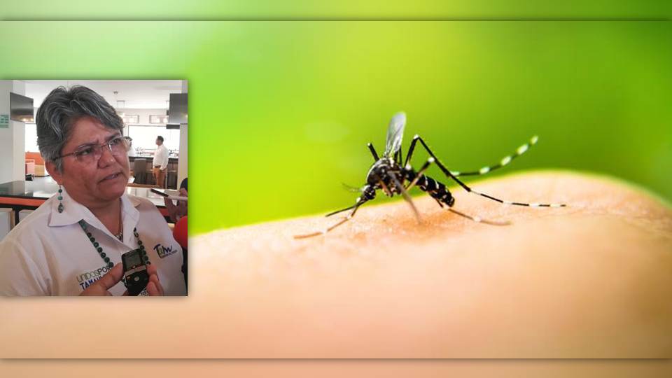 Altamira, el municipio con más casos de dengue en el estado