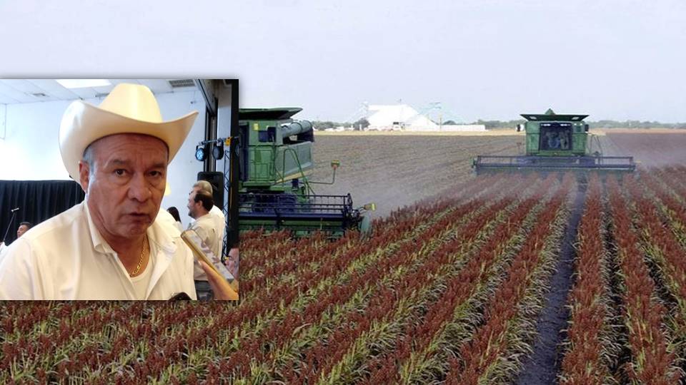 «La Federación le da la espalda al campo»