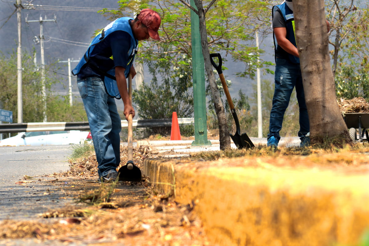 Unidos por Tamaulipas recupera más de 700 kilómetros cuadrados de camellones y áreas verdes.