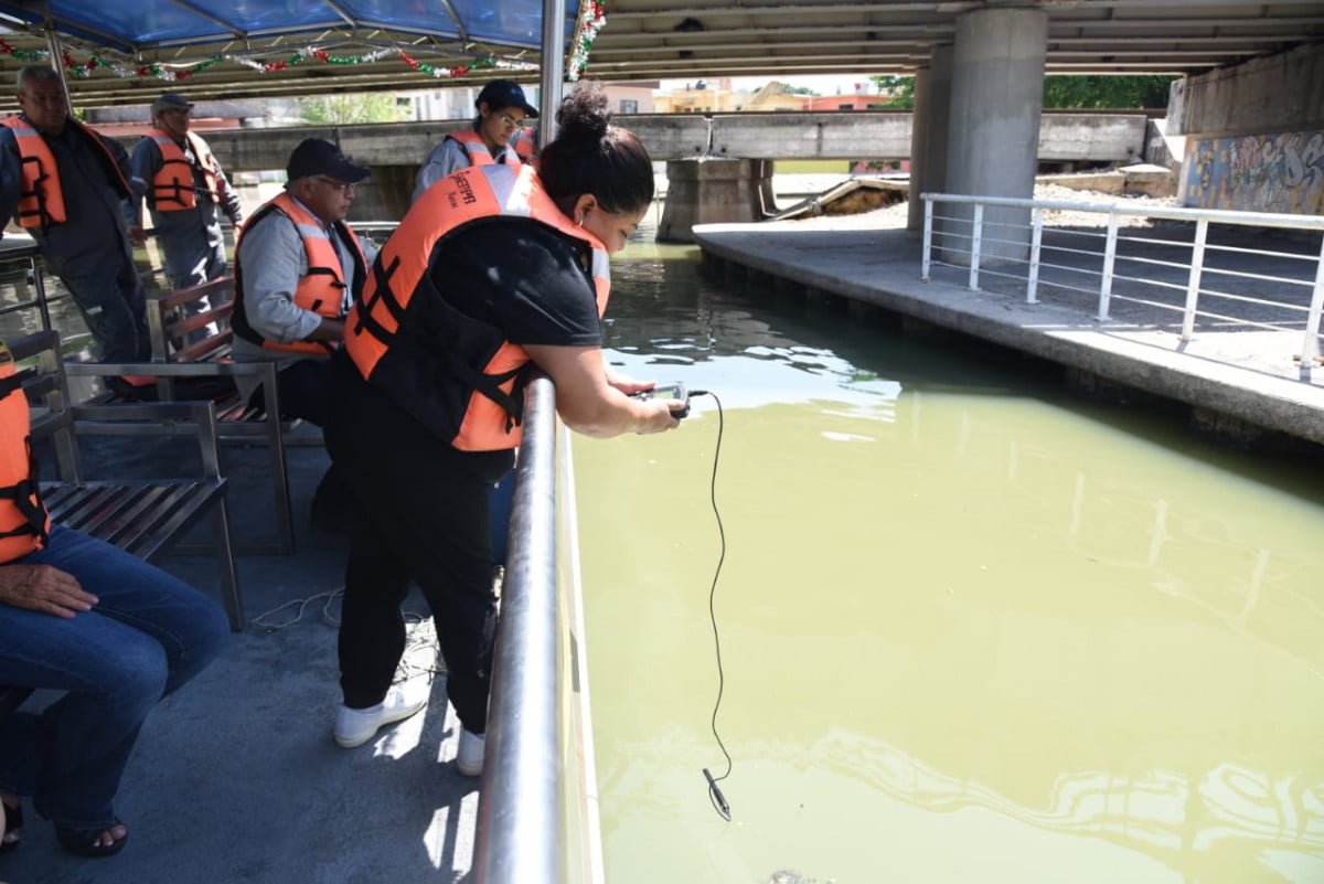 Analizan las Causas que Originaron Mortandad de Peces en el Canal de la Cortadura