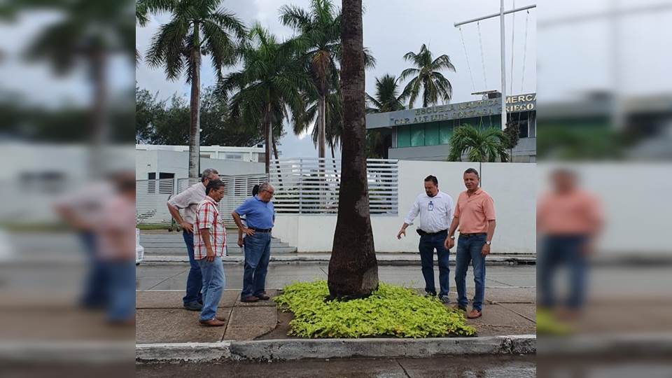 Instalan áreas verdes en el bulevar López Mateos de Tampico