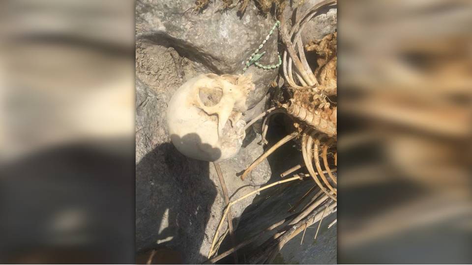 Encuentran osamenta a orillas del Río Bravo