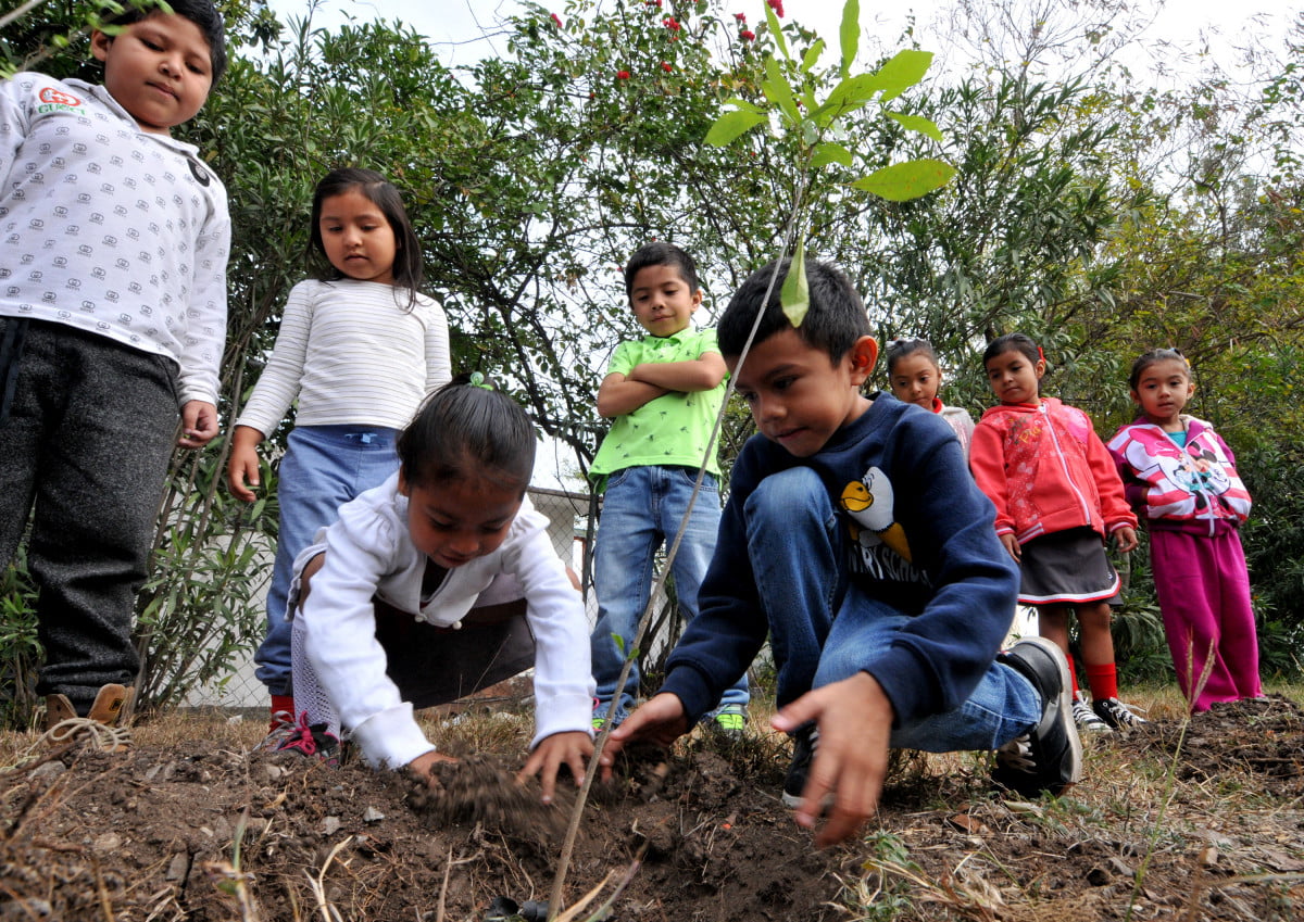 Gobierno de Tamaulipas intensifica reforestación en escuelas, centros de bienestar y parques públicos.