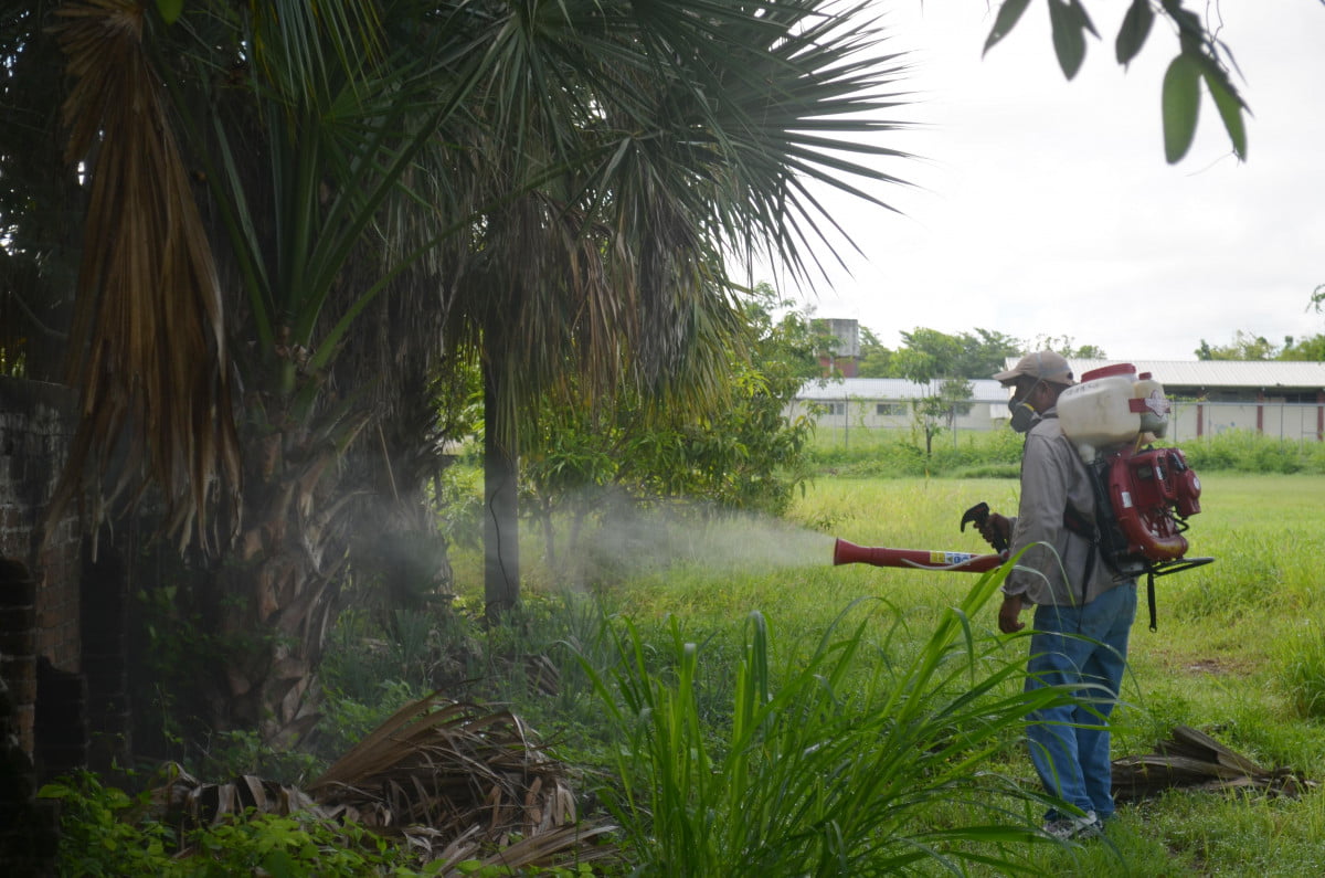 Intensifica Tamaulipas prevención del dengue, zika y chikungunya