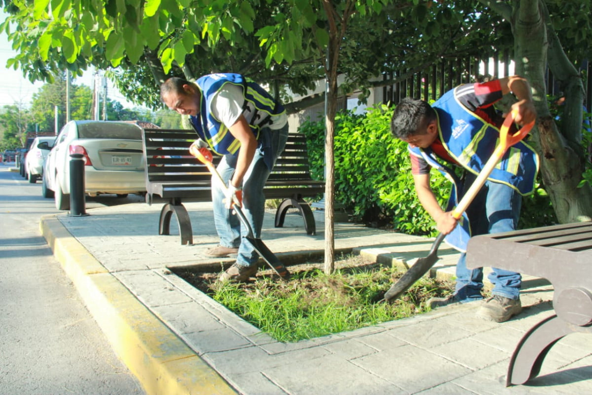 Rehabilita Municipio Avenidas y Bulevares