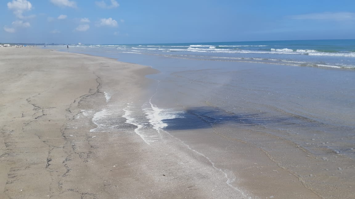 Detectan nuevamente presencia de chapopote y manchas de aceite en Playa Miramar