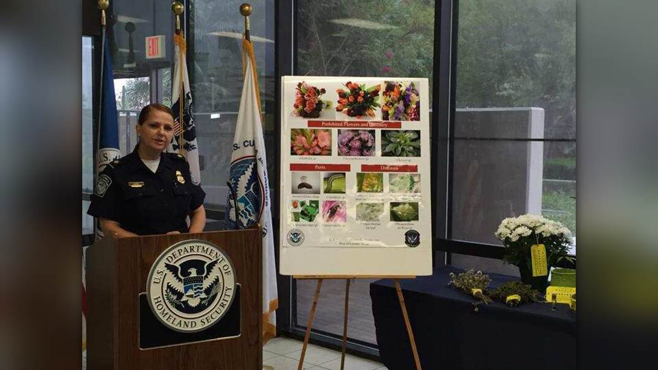 Por día de Muertos, CBP recuerda que planta está prohibida ingresar a USA