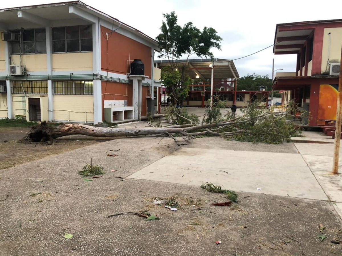 Frente frío No. 8 causa múltiples destrozos en Ciudad Madero