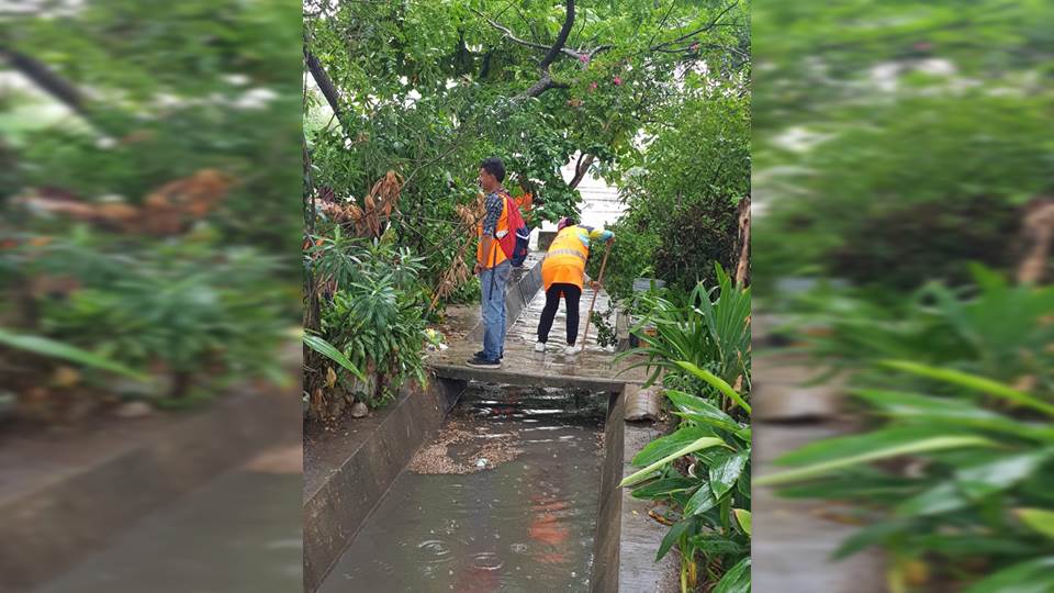 Ante Pronóstico de Luvias Intensifican Tareas de Limpieza en Drenes Pluviales