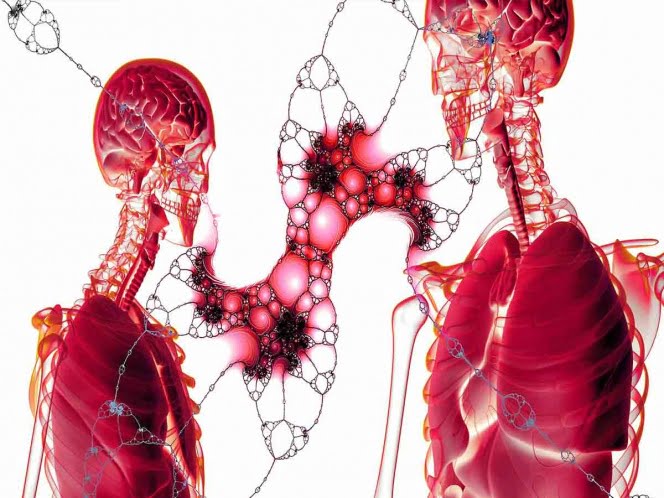 El cáncer hepático no sólo aparece en pacientes alcohólicos