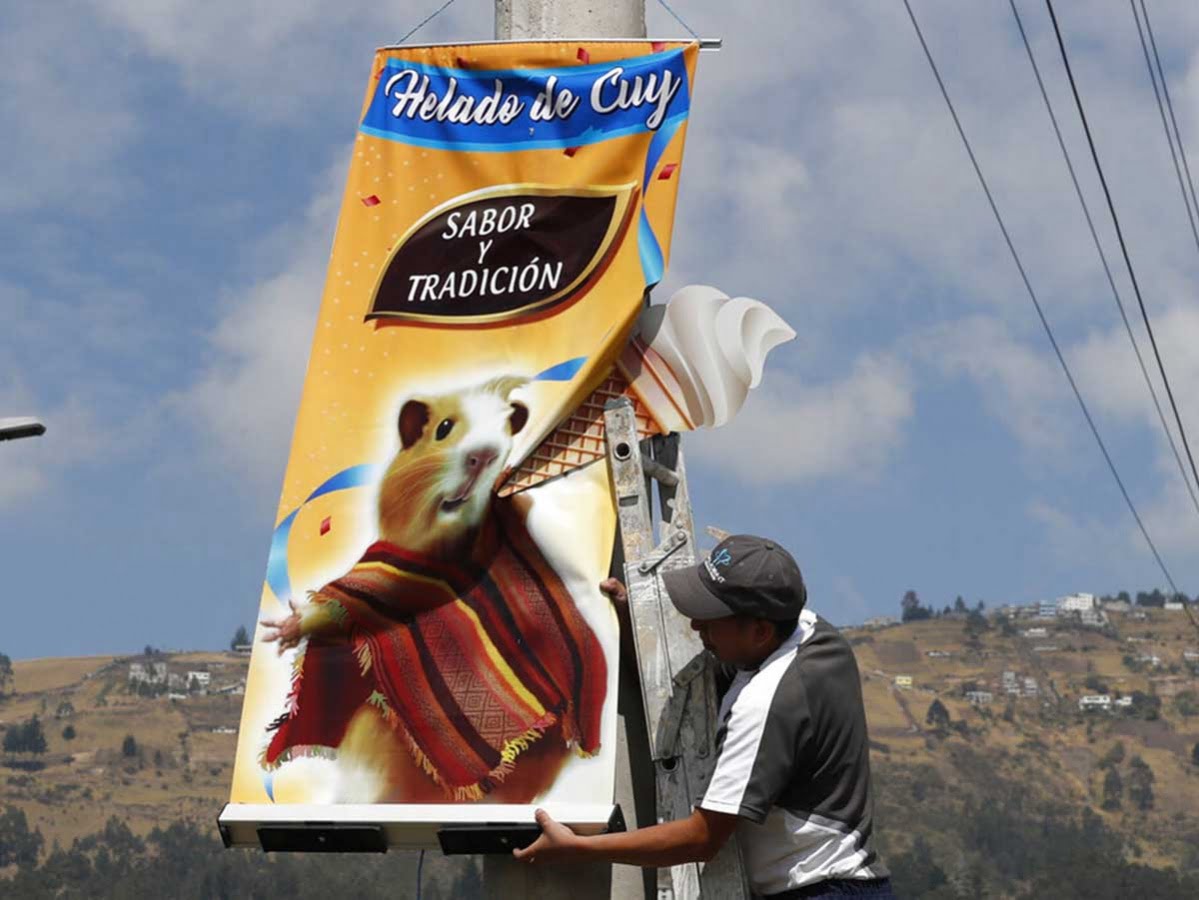 ¿Un heladito? En Ecuador los preparan con cuyos y escarabajos