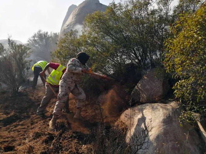 Controlan incendios en Ensenada y Tecate casi en 90%