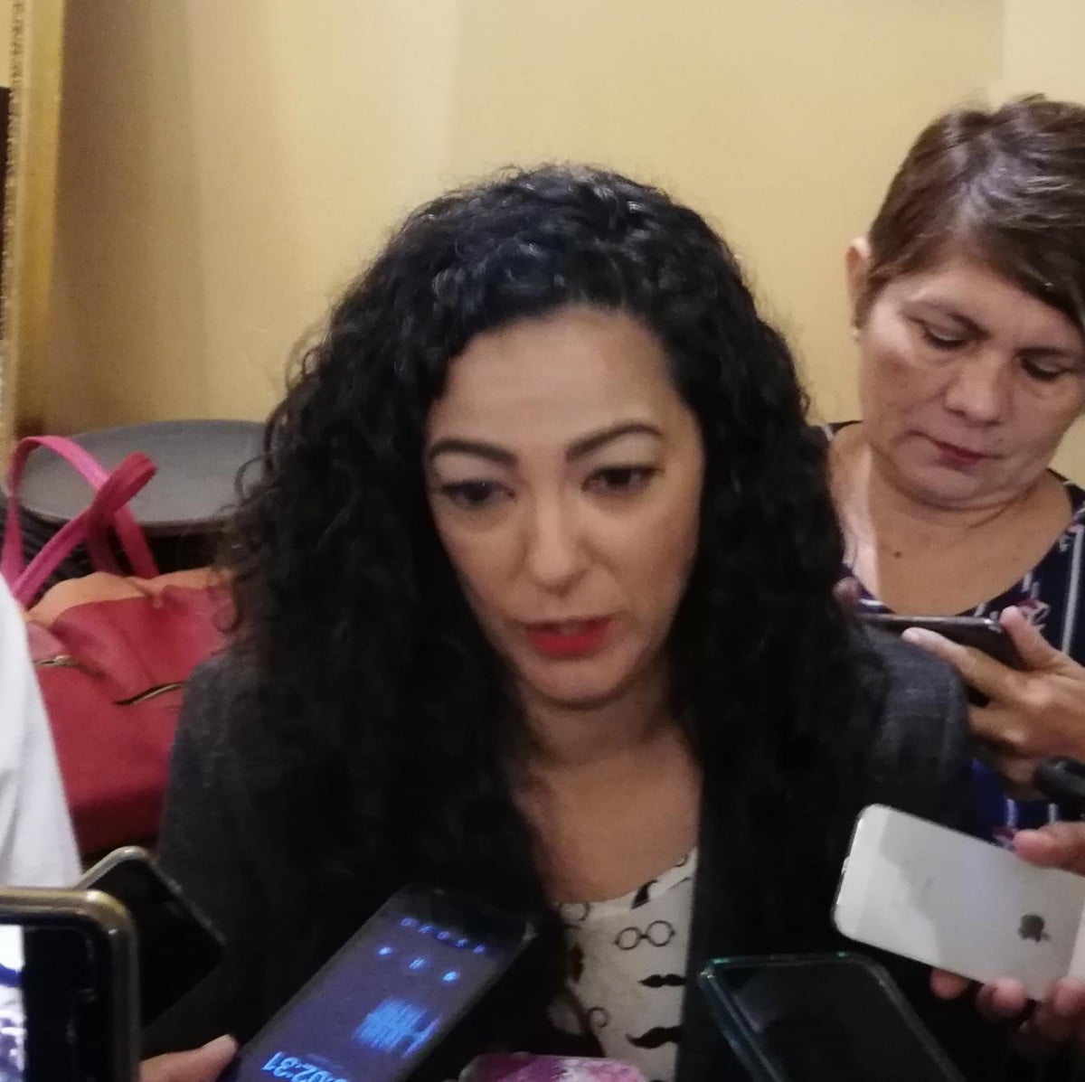 Planean diputados rescatar 70 mdp para obras de infraestructura es zona sur; no hay proyectos del estado