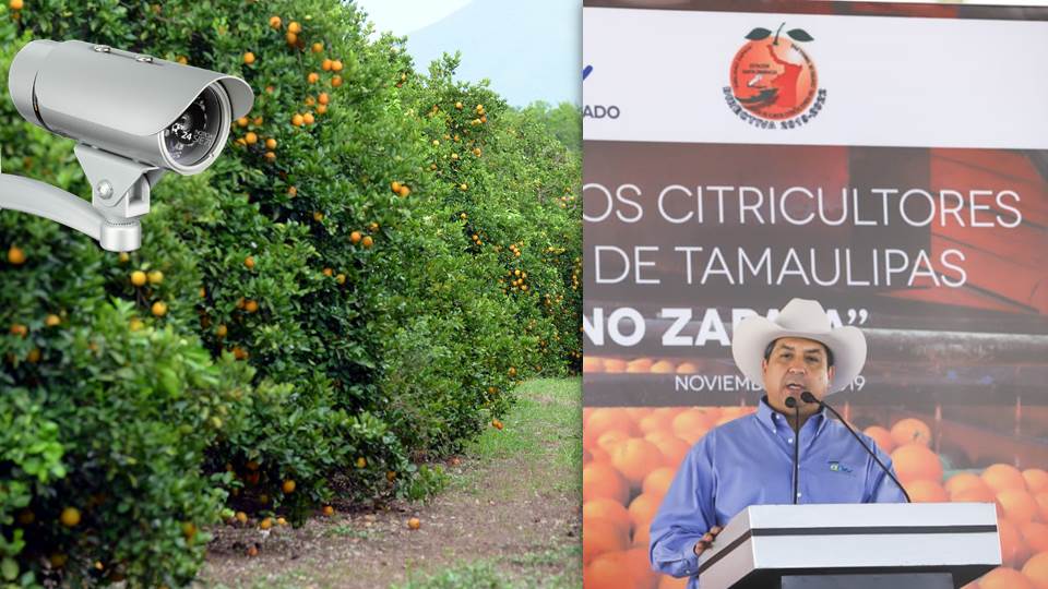 Anuncia Gobernador instalación de cámaras de videovigilancia y Bases Seguras TAM para región citrícola