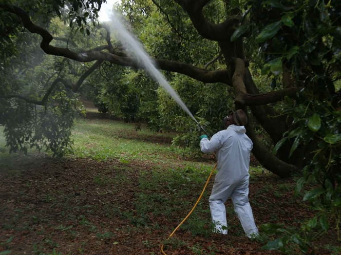 Prohíben DDT, 19 plaguicidas de Bayer, 20 de Dupont…