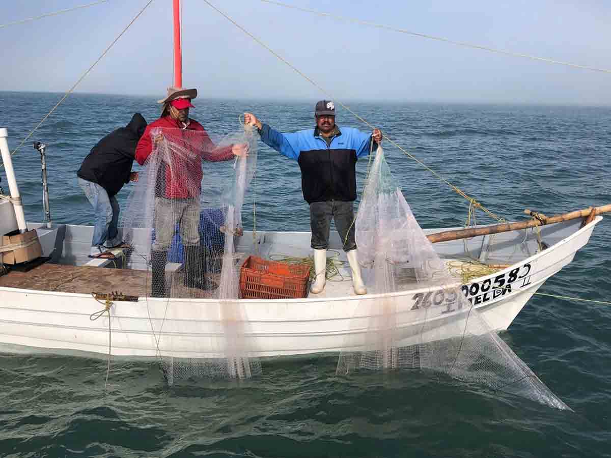 Pescadores presentan propuesta ante crisis en hábitat de la vaquita marina