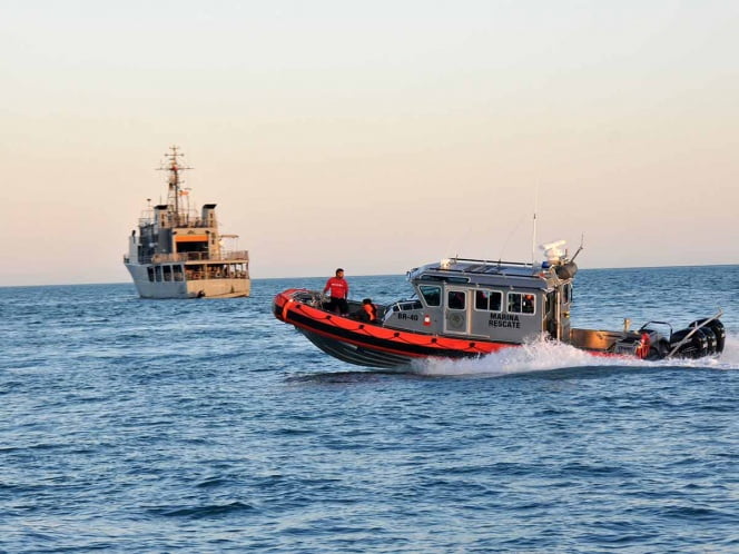Extraen redes totoaberas del hábitat de la Vaquita Marina