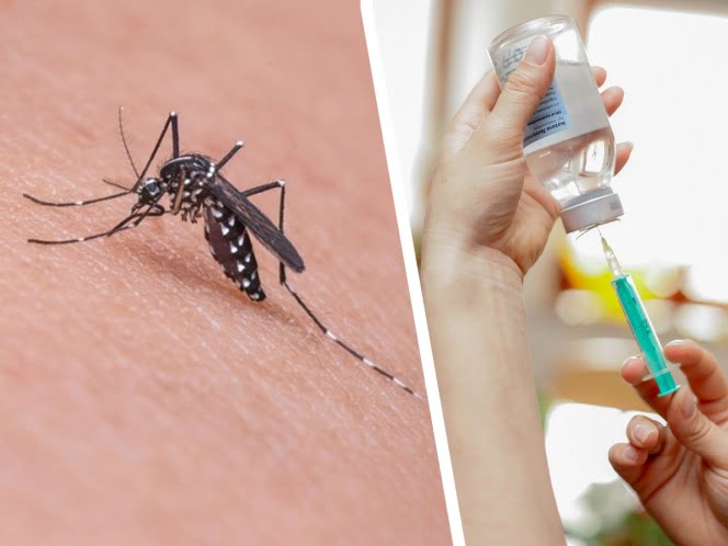 Universidad presenta avances de vacuna contra el Zika