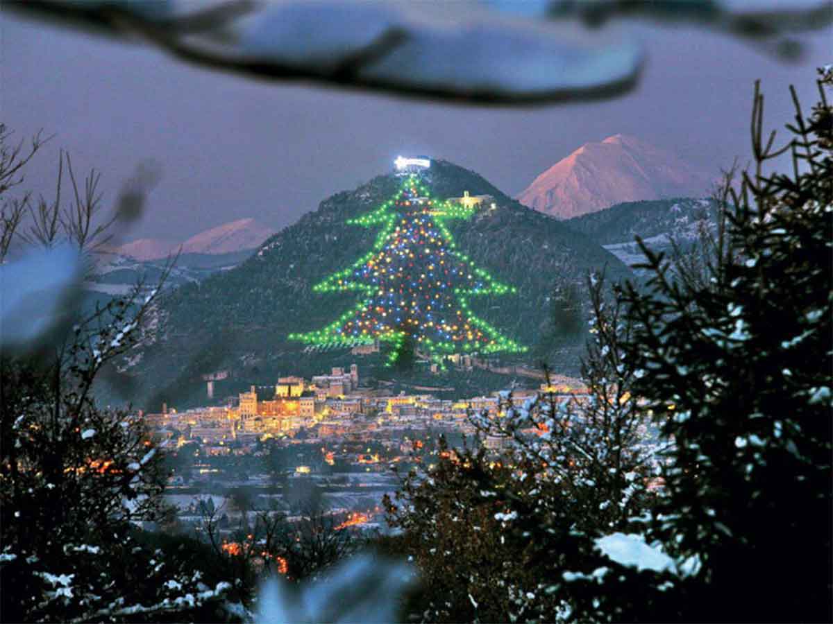 Este árbol de Navidad en Italia es el más grande del mundo