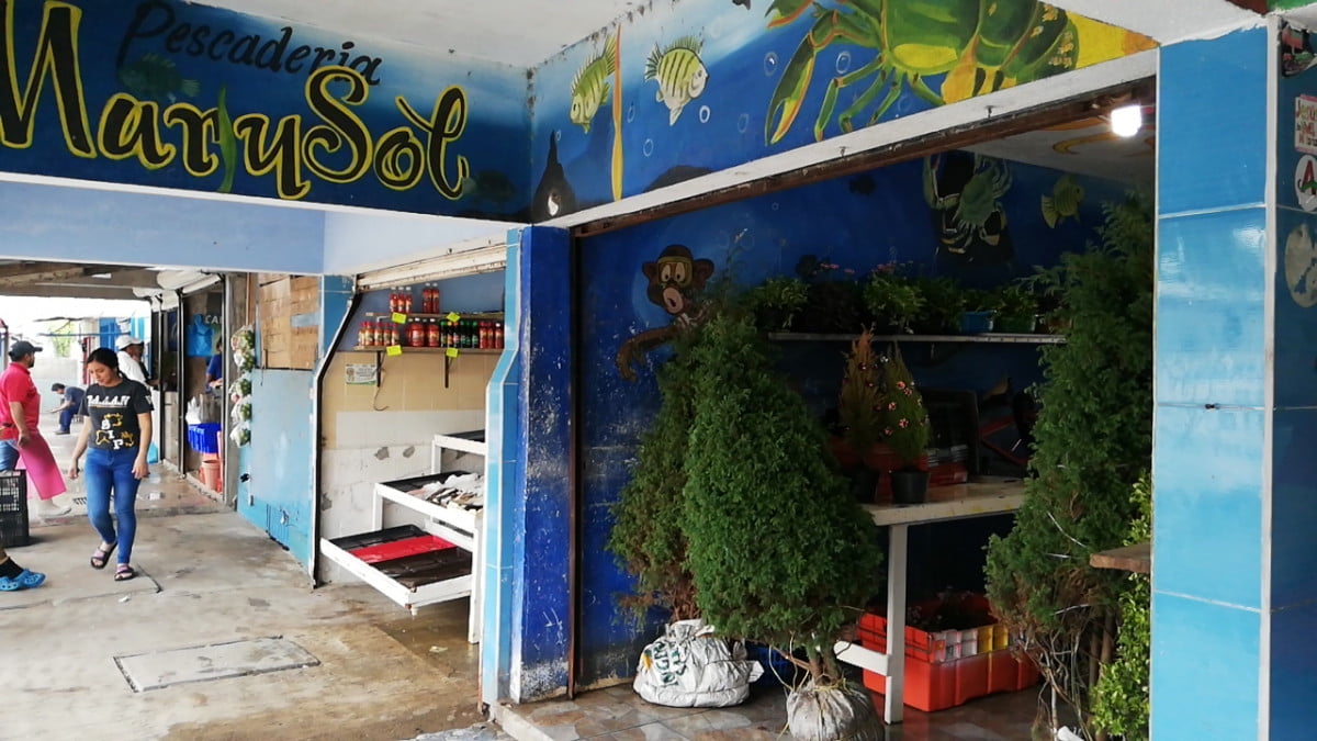 Por bajas ventas, comercializan pinos navideños en la puntillita de pescados y mariscos en Altamira
