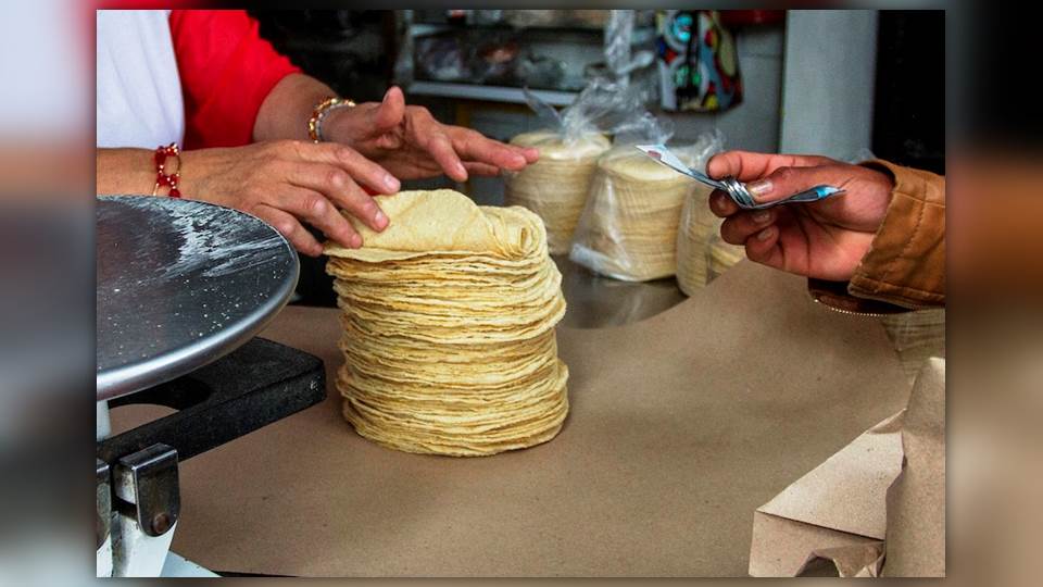 En enero subirá el precio de la tortilla y la masa en la zona sur