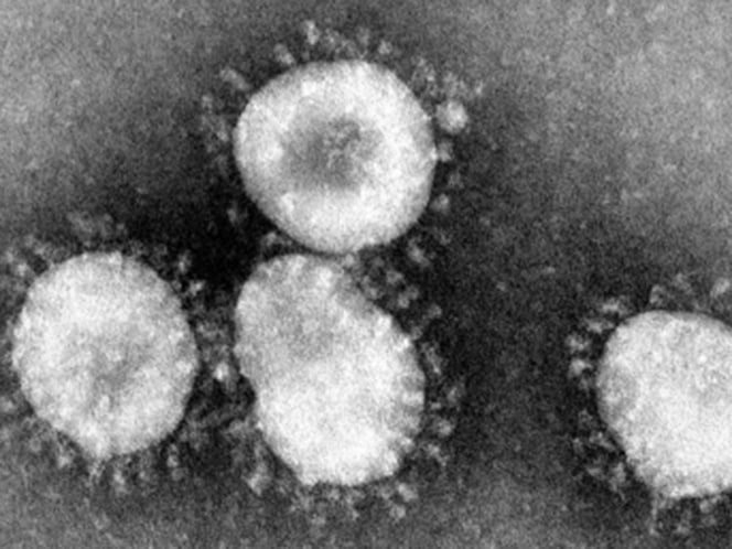 México no cuenta con ningún especialista en coronavirus: AMC