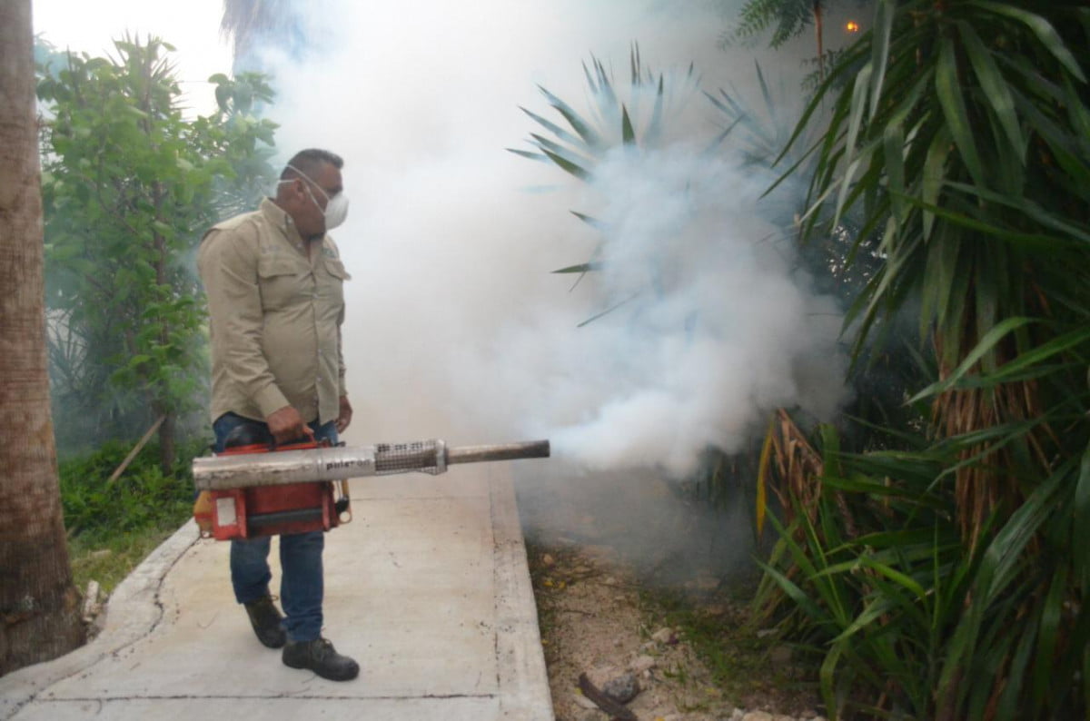 Inicia Gobierno de Tamaulipas plan intensivo de combate al dengue
