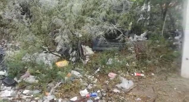 Sin solución queja de vecinos; tienen años solicitando limpieza de terreno