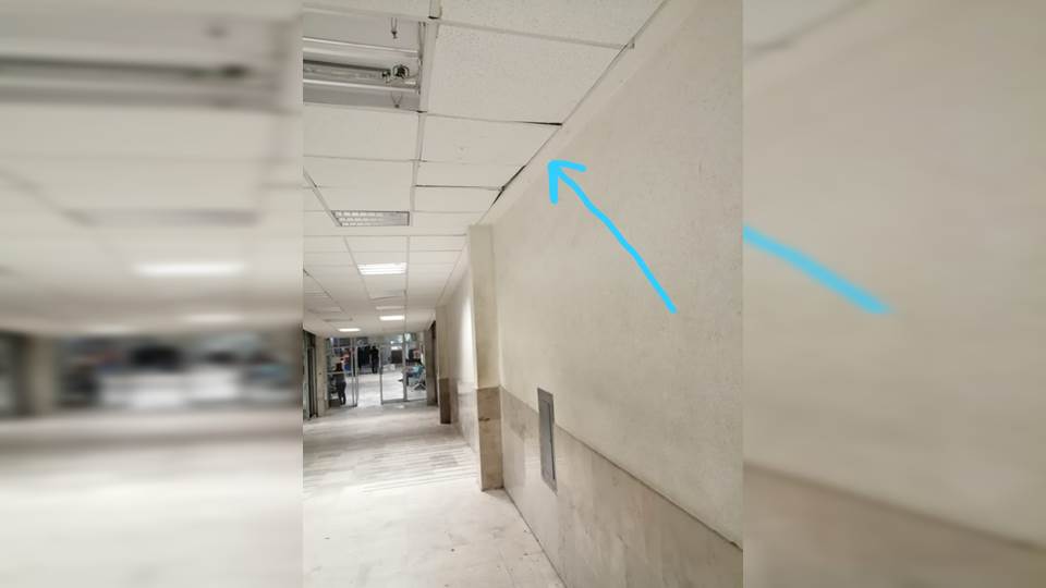 Mapaches tumban techo falso en el hospital del ISSSTE en Tampico