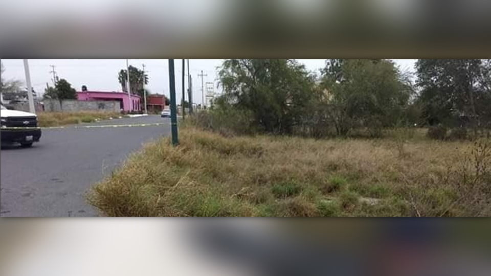 Abandonan cuatro cuerpos en el Municipio de Miguel Alemán