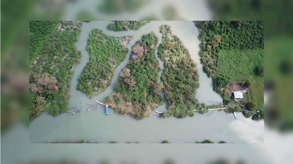 Pide Ciest se destinen recursos del pago de agua que hace la industria para reparar Estero del Camalote