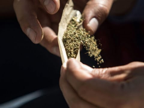 Comisiones del Senado aprueban uso lúdico de la mariguana