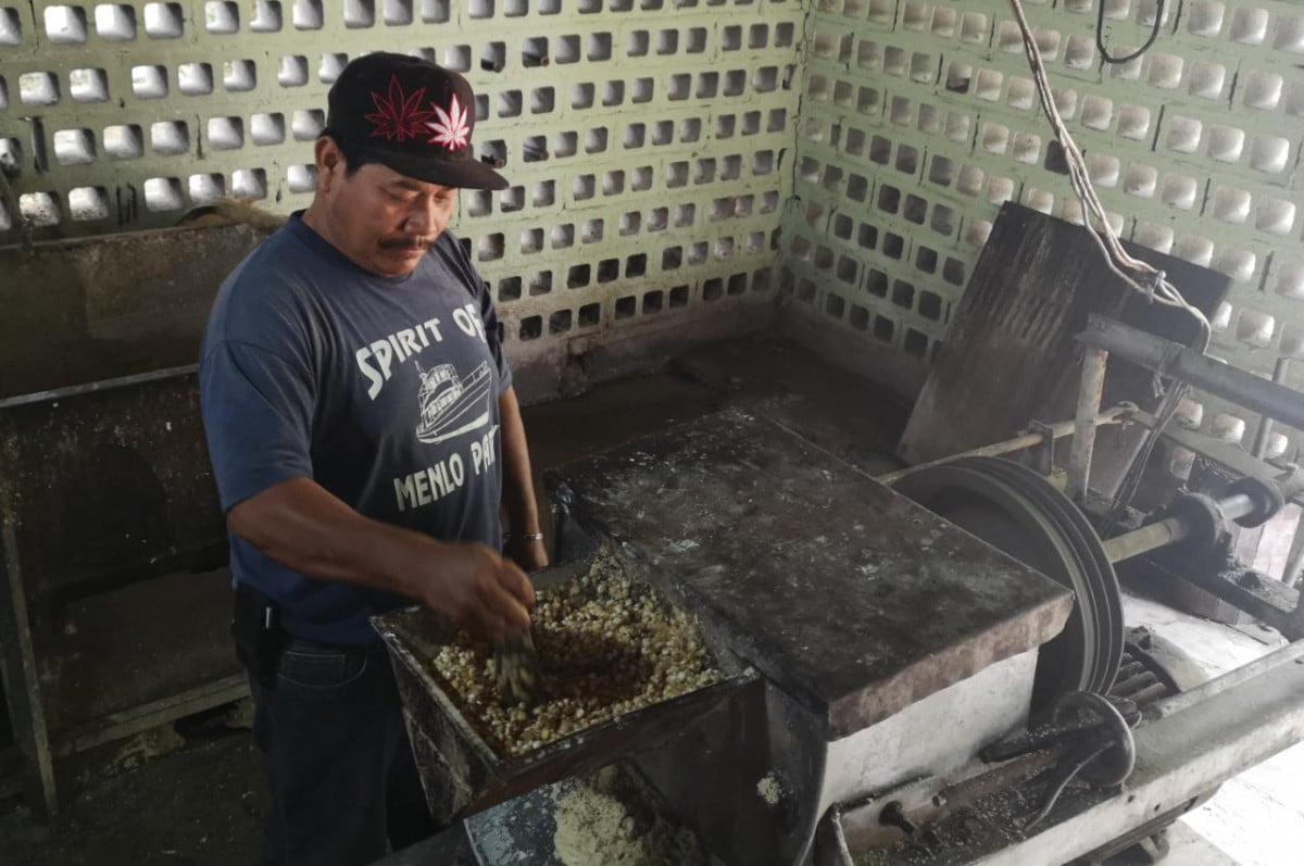 Golpea COVID-19 a tortilleros de Nuevo Laredo registran caída de hasta un 50% en ventas