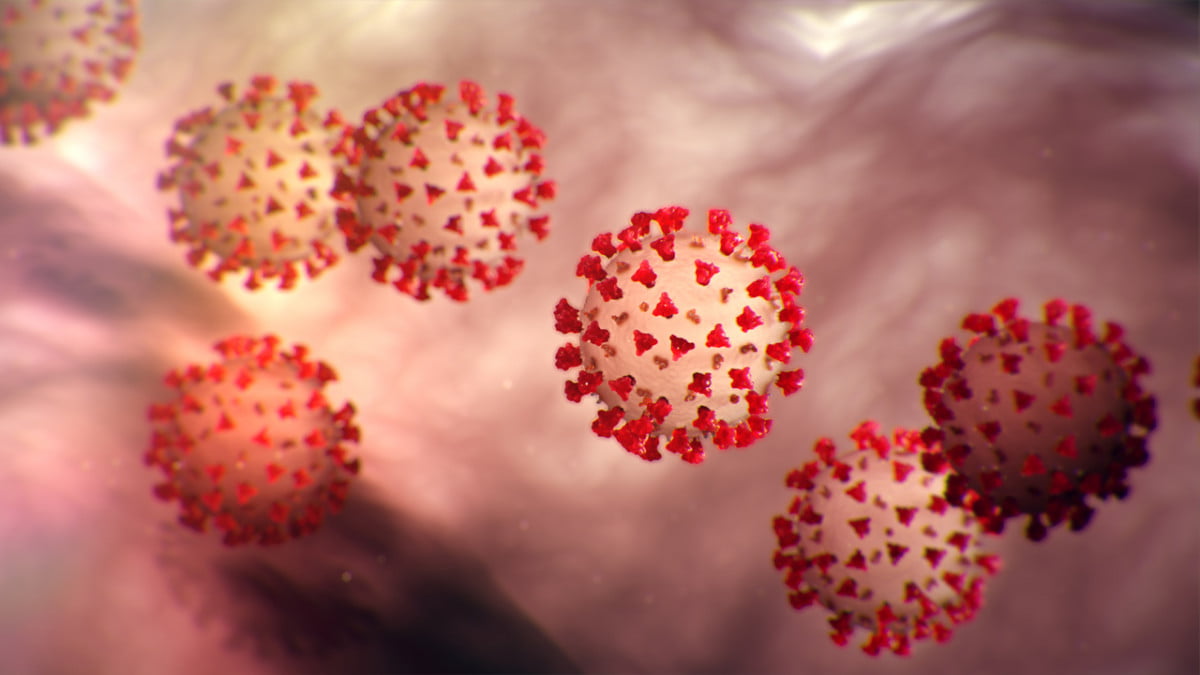 Confirman primer caso de Coronavirus, COVID-19 en Tamaulipas