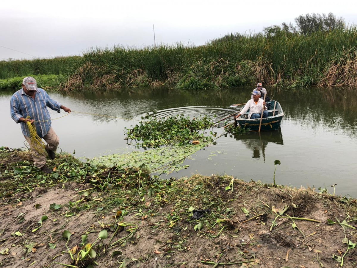 Pandemia no detiene acciones municipales y Limpian canales de Ciudad Madero
