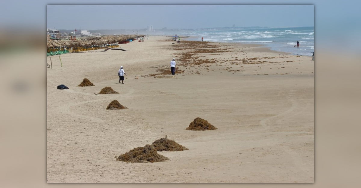 Quien no acate medidas sanitarias en Madero, limpiará la Playa Miramar
