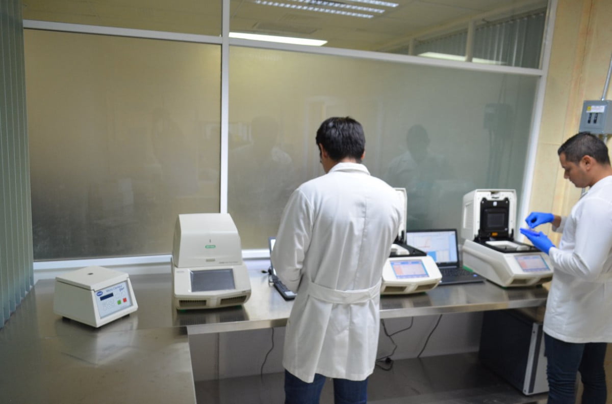 Registra Tamaulipas 17 nuevos casos positivos a COVID-19, la cifra oficial es de 533 en la entidad