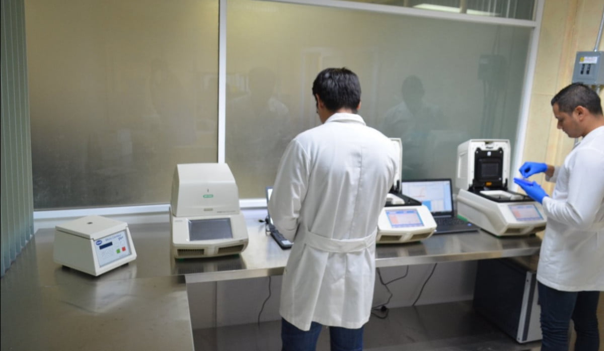 Diagnostican 17 nuevos casos positivos y otra muerte por Covid-19 en Tamaulipas