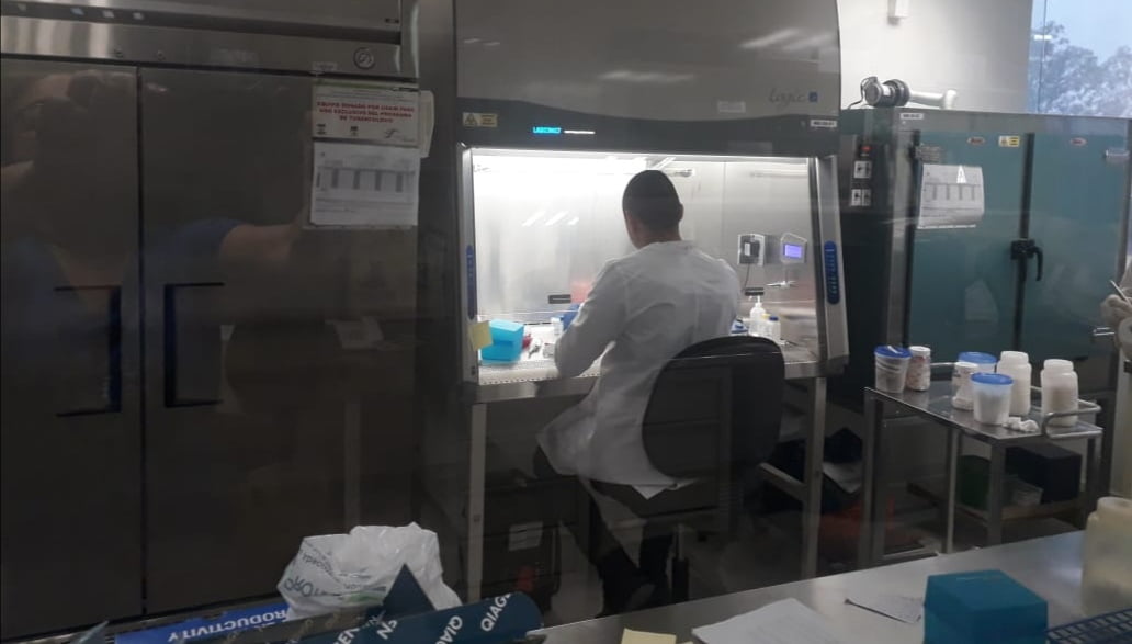 Registra Tamaulipas 8 nuevos casos de COVID-19, suman 997