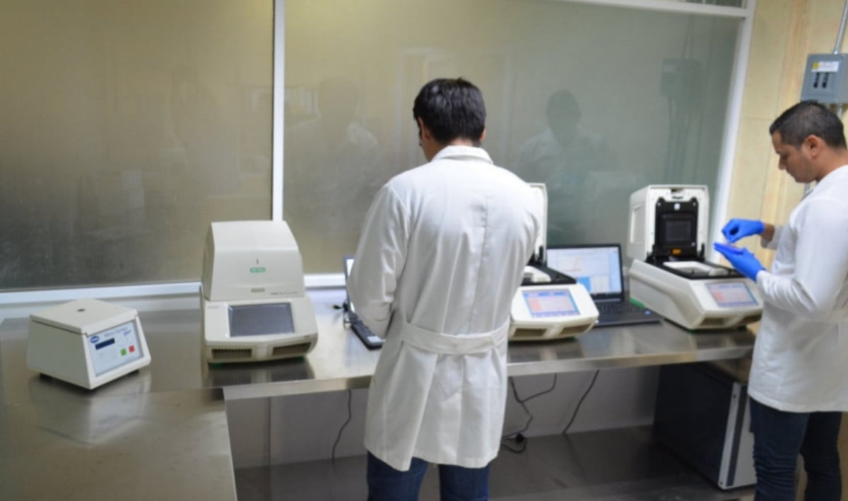 Reportan 53 nuevos casos y dos muertes más por Covid-19 en Tamaulipas
