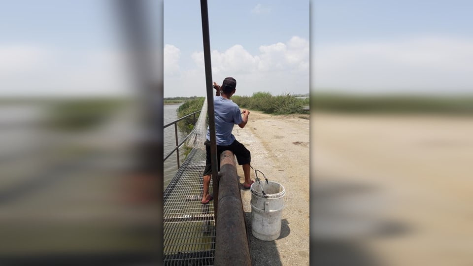 Pescadores demandan apoyo para sobrevivir en Altamira