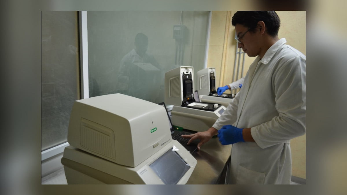 Diagnostican 6 nuevos casos de COVID-19, la cifra asciende a 917 en Tamaulipas