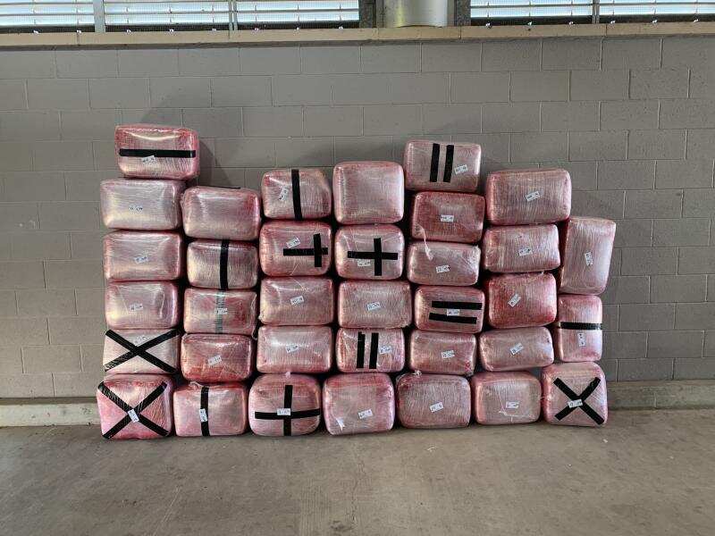 Perro policía encuentra cargamento de marihuana en Laredo