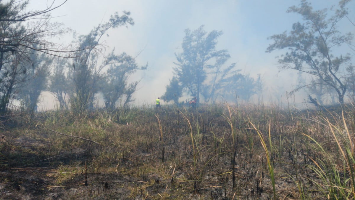 Se elevan incendios en pastizales en Tampico