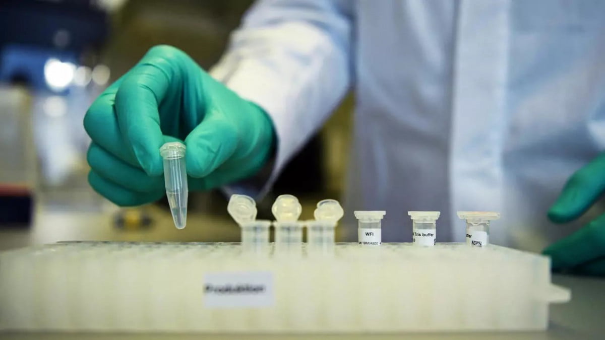 Coronavirus pasó de un animal a un humano entre octubre y diciembre: estudio