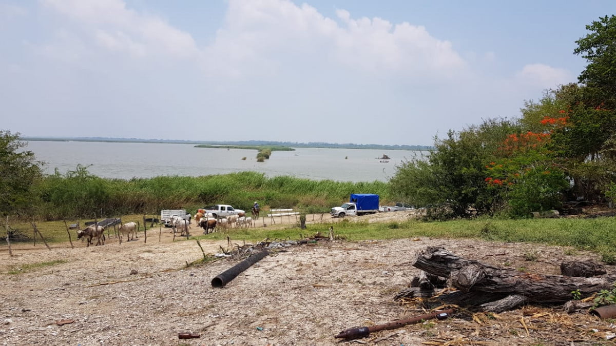 Tras daños por tormenta, siguen sin agua en la zona rural de Altamira