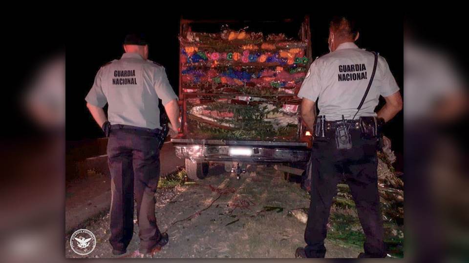 Guardia Nacional asegura media tonelada de droga en municipio Güémez